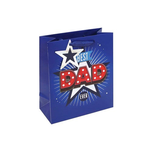 22443V Best Dad Ever Medium Gift Bag