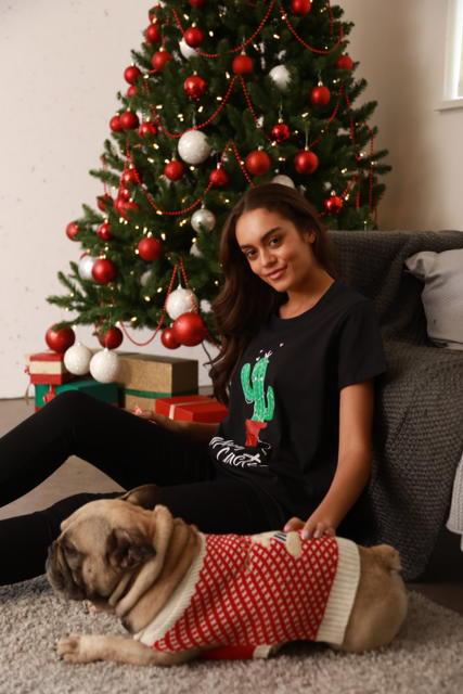 Merry Christmas Rudolph Dog Jumper Red