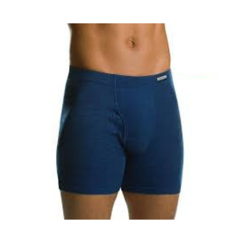 Hanes Tagless Boxer Briefs (1 Pair) Navy