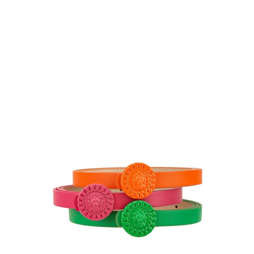 Lion Emblem Buckle 3-Belt Set in Green/Fuchsia/Orange