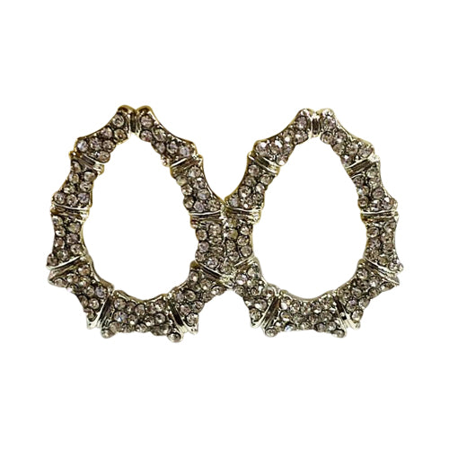 Encrusted Teardrop Earring in Silver