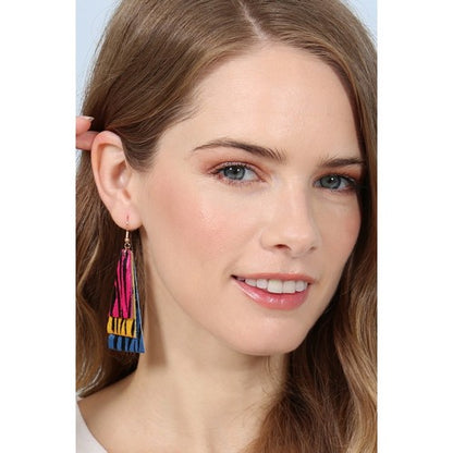 Layered Zebra Hair Dangle Earrings in Multicolour