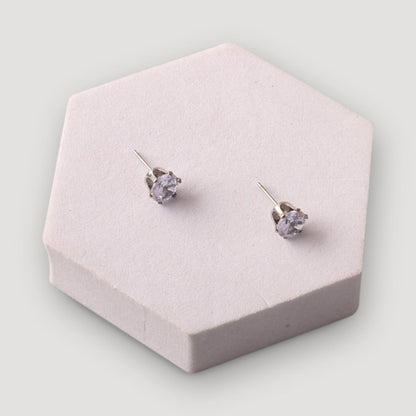 Stainless Steel Round Cut Crystal Earring in Silver
