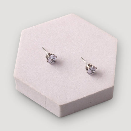 Stainless Steel Round Cut Crystal Earring in Silver