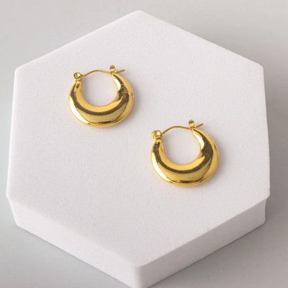 ERES0053-A Stainless Steel Bold Fan Leverback Huggie Earring in Gold