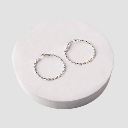 ER40018GSRG Mix Metal Twisted Hoop Earrings in Silver