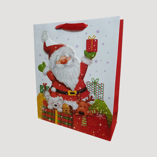 3D Santa Glitter Large Gift Bag in Beard Design