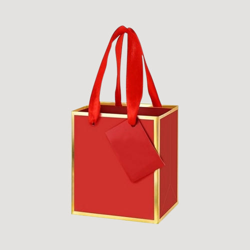 Metallic Trim Mini Gift Bag