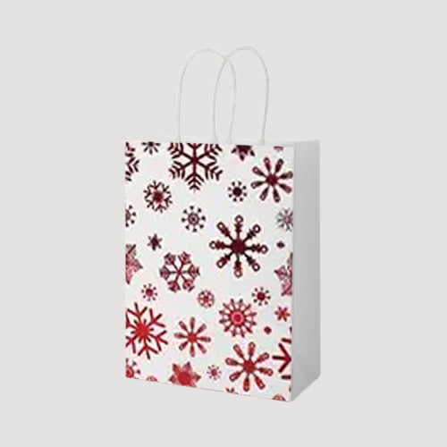 White & Red Small Christmas Gift Bag in Snowflake