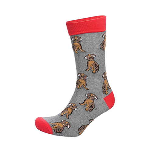 26686 Tom Franks Novelty Dress Socks in Puppy Print 1 pc