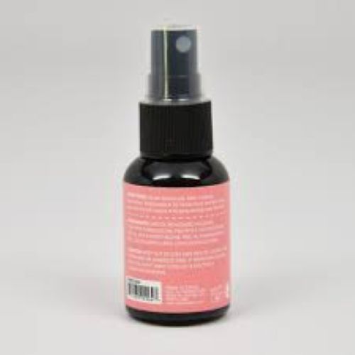 KleanColor Pro Sealer Makeup Setting Spray Dewy Finish - 1oz