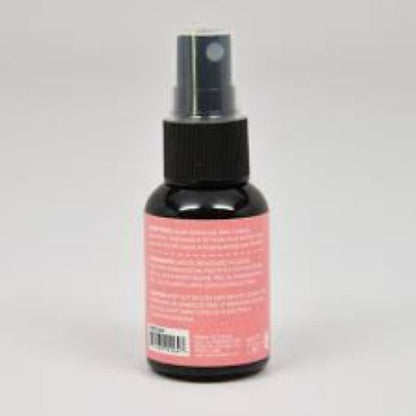 KleanColor Pro Sealer Makeup Setting Spray Dewy Finish - 1oz