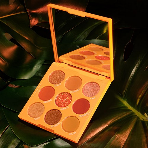 AL139 City Color Paradise Love Orange 9 Colour Eyeshadow Compact with Mirror