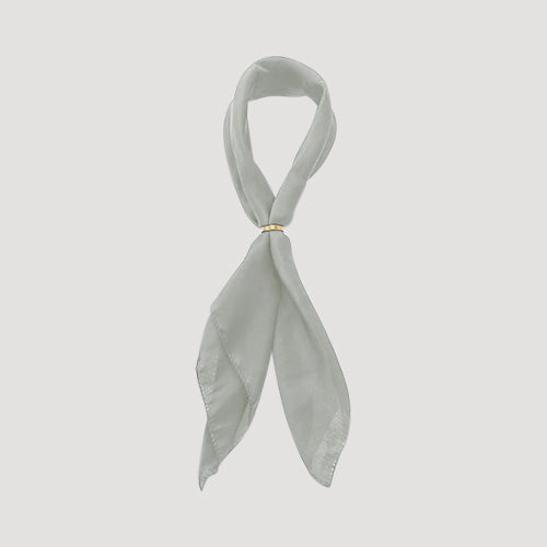 RNT1388F Plain Twilly Scarf in Silver Grey
