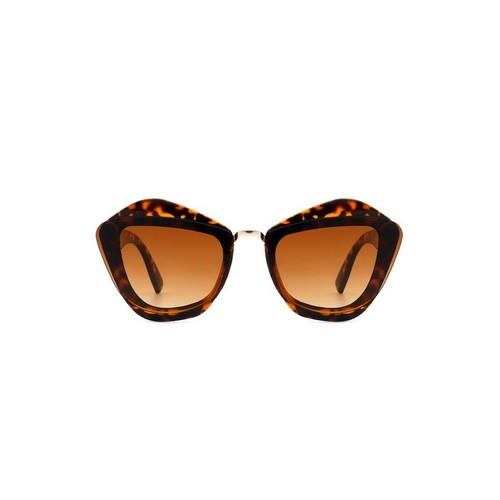 Irregular Cat Shades in Tortoiseshell