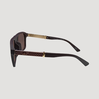 Wings Wayfare Shades in Brown