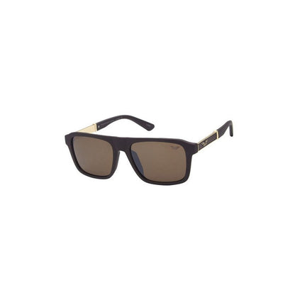F535SE Wings Wayfare Shades in Brown