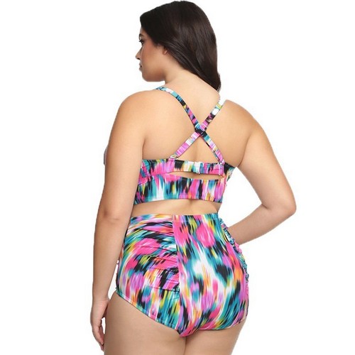 High Waist 2pc Plus Size Bikini Pink Multi