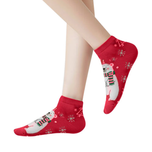 Christmas Polar Bear Fun Socks in Red