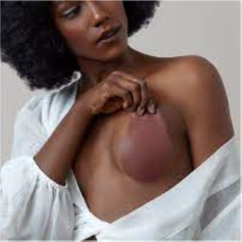 Reusable Breast Lift-Up Pasties  Brown