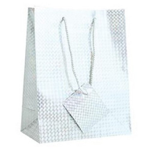 Plain Metallic Gift Bag Small Silver