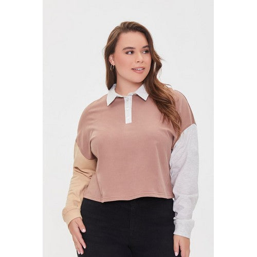 Plus Size Colorblock Rugby Shirt Cocoa Multi